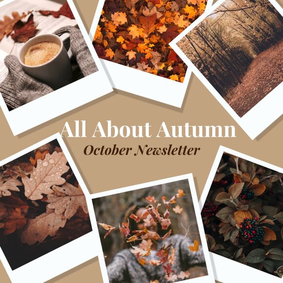 YuYu’s Closet Chronicles: October Edition – “Falling for Fresh Finds” 🍁 - Picture 1 of 10